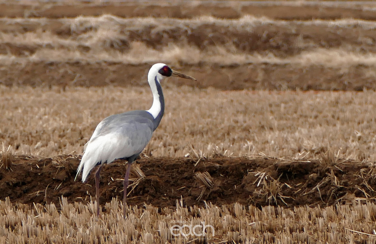 촬영 - 박미애 기자