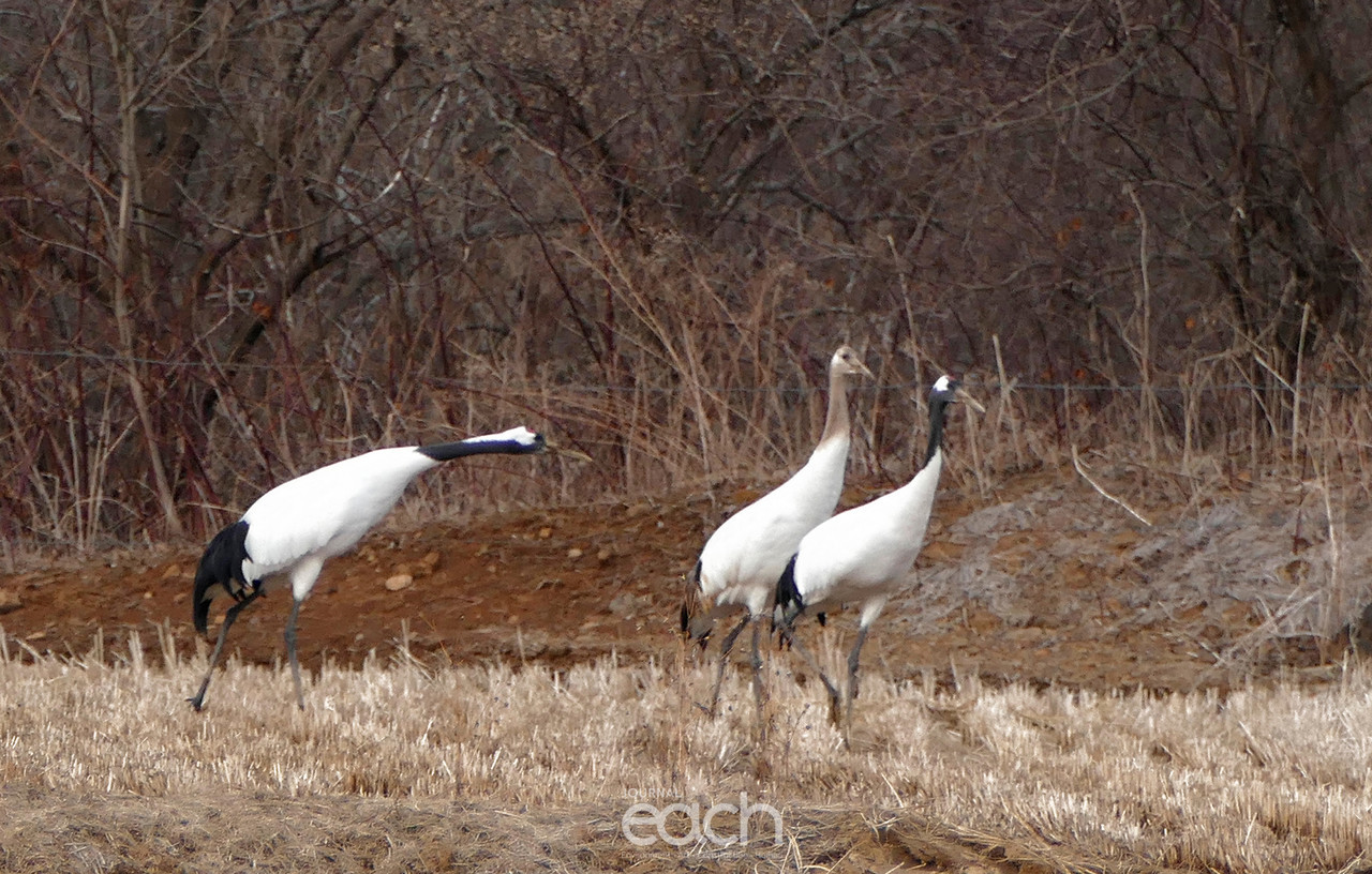 촬영 - 박미애 기자