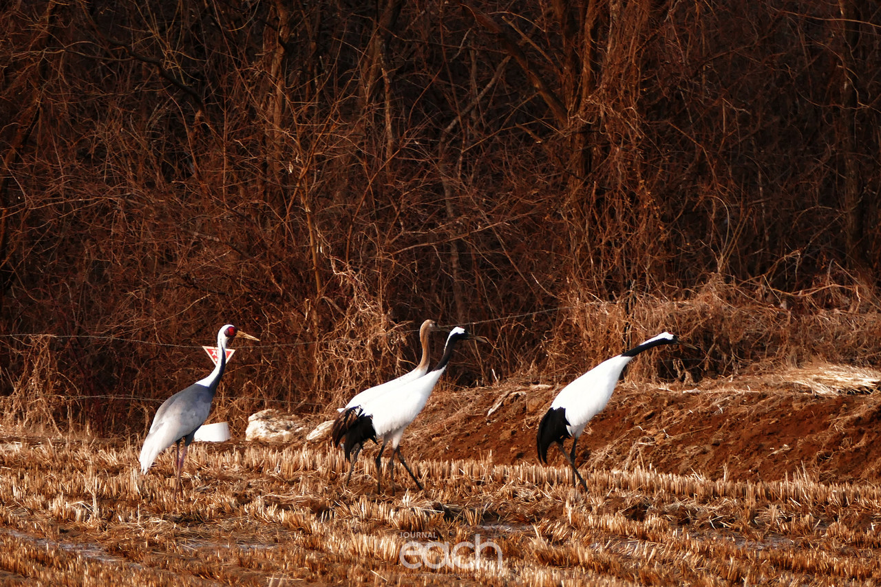 촬영 - 박미애 기자