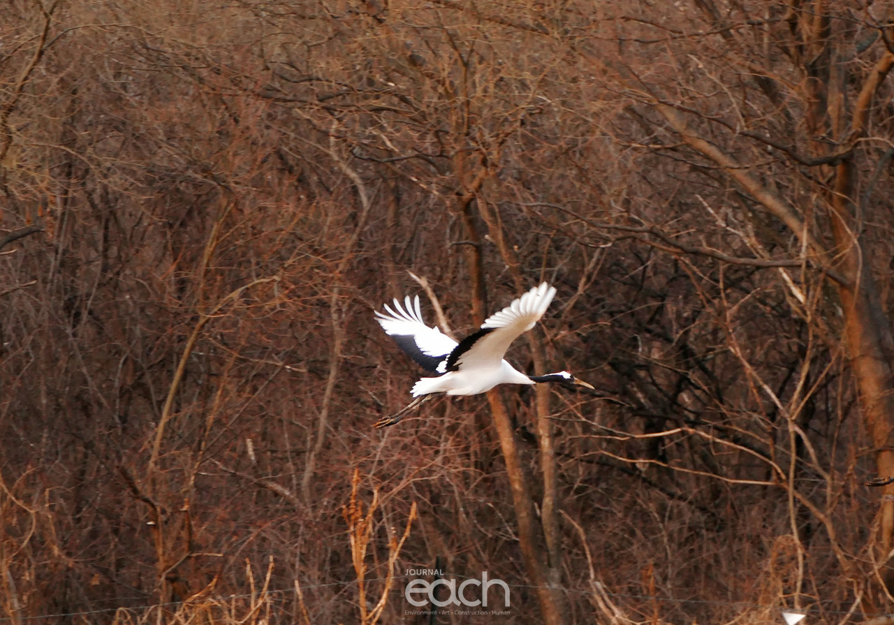 촬영 - 박미애 기자