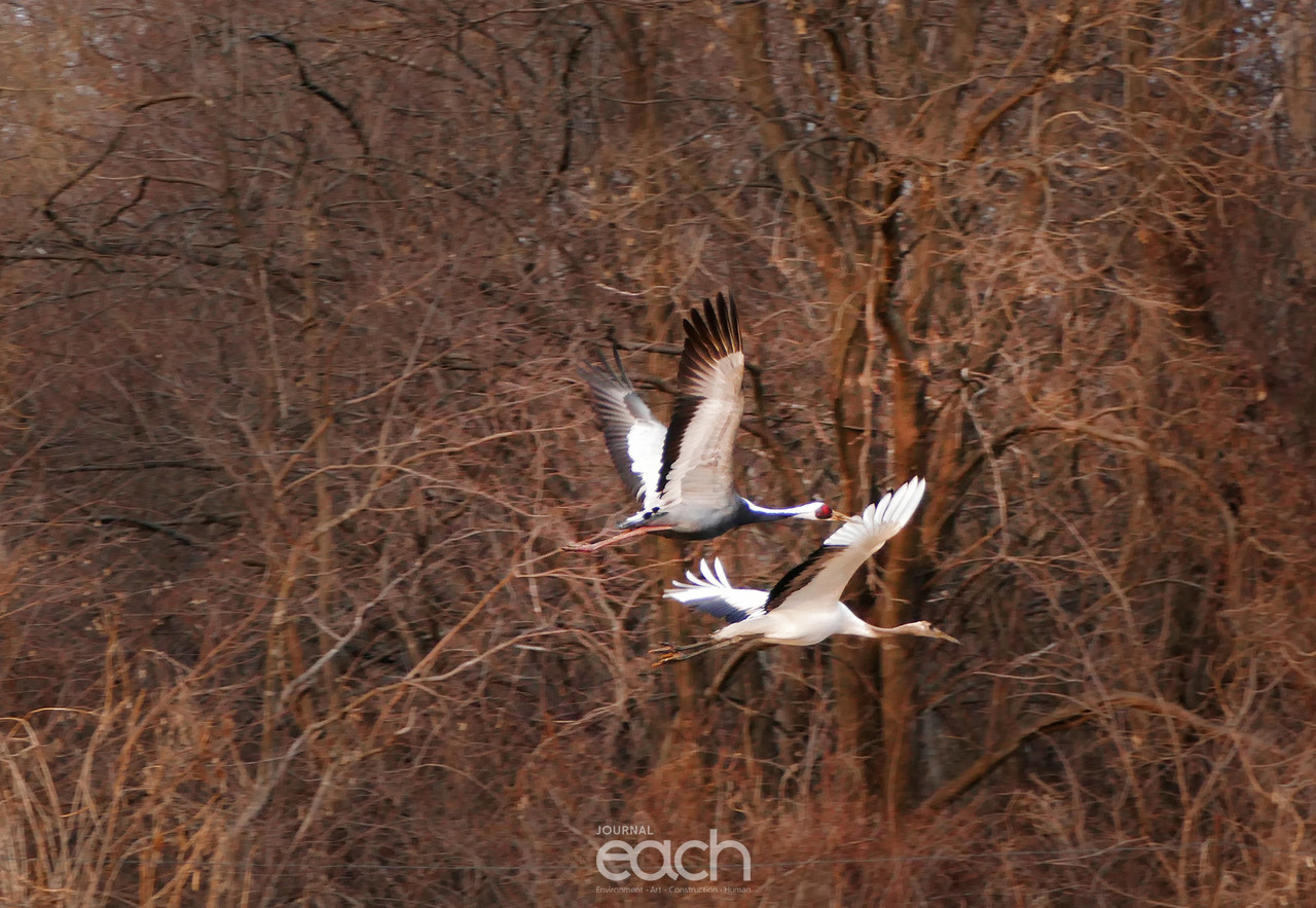 촬영 - 박미애 기자