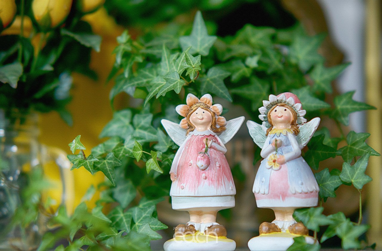 이미지 제공 - 박미애 사진가