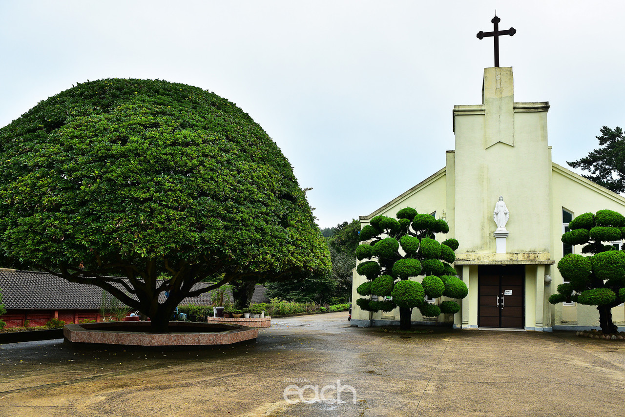 이미지 제공 - 여수 장철귀 사진가