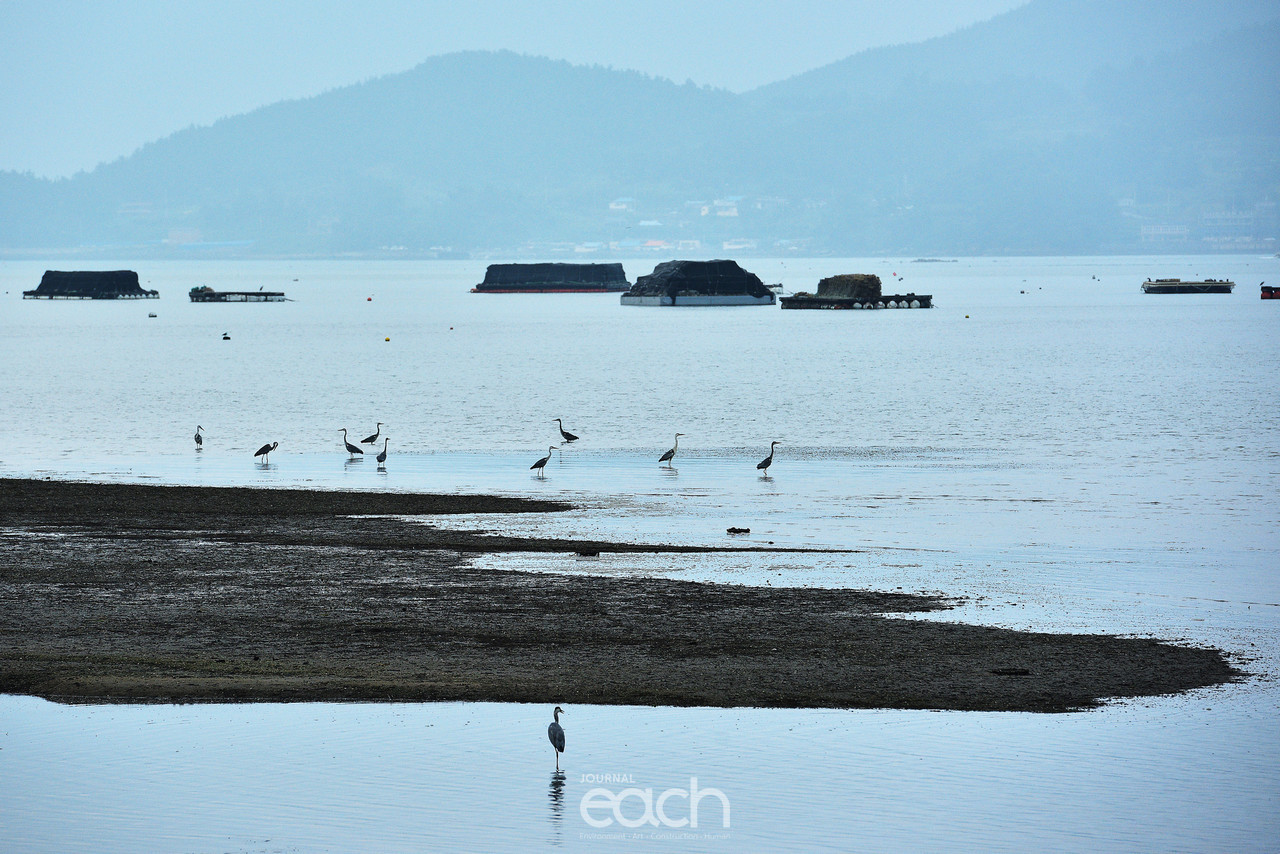 이미지 제공 - 여수 장철귀 사진가