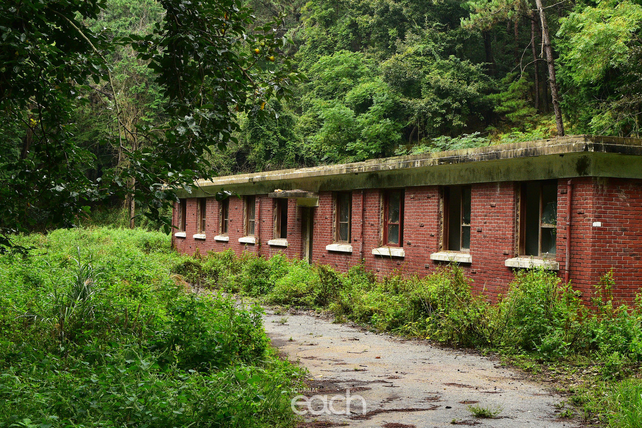 이미지 제공 - 여수 장철귀 사진가