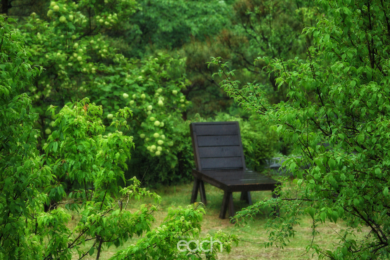 이미지 제공 - 박미애 사진가