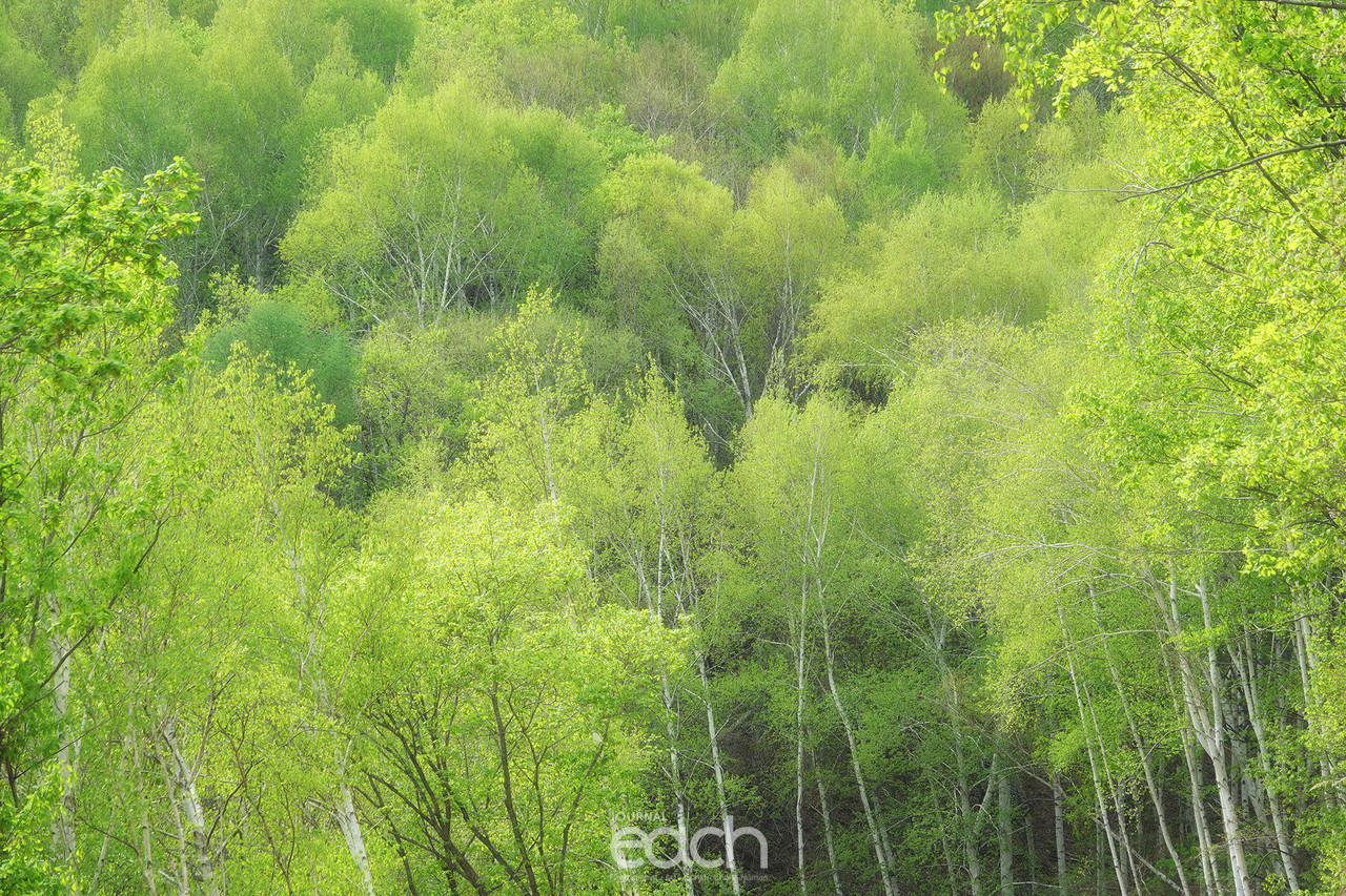 촬영 - 박미애 사진가