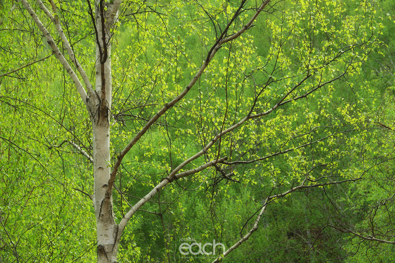 촬영 - 박미애 사진가