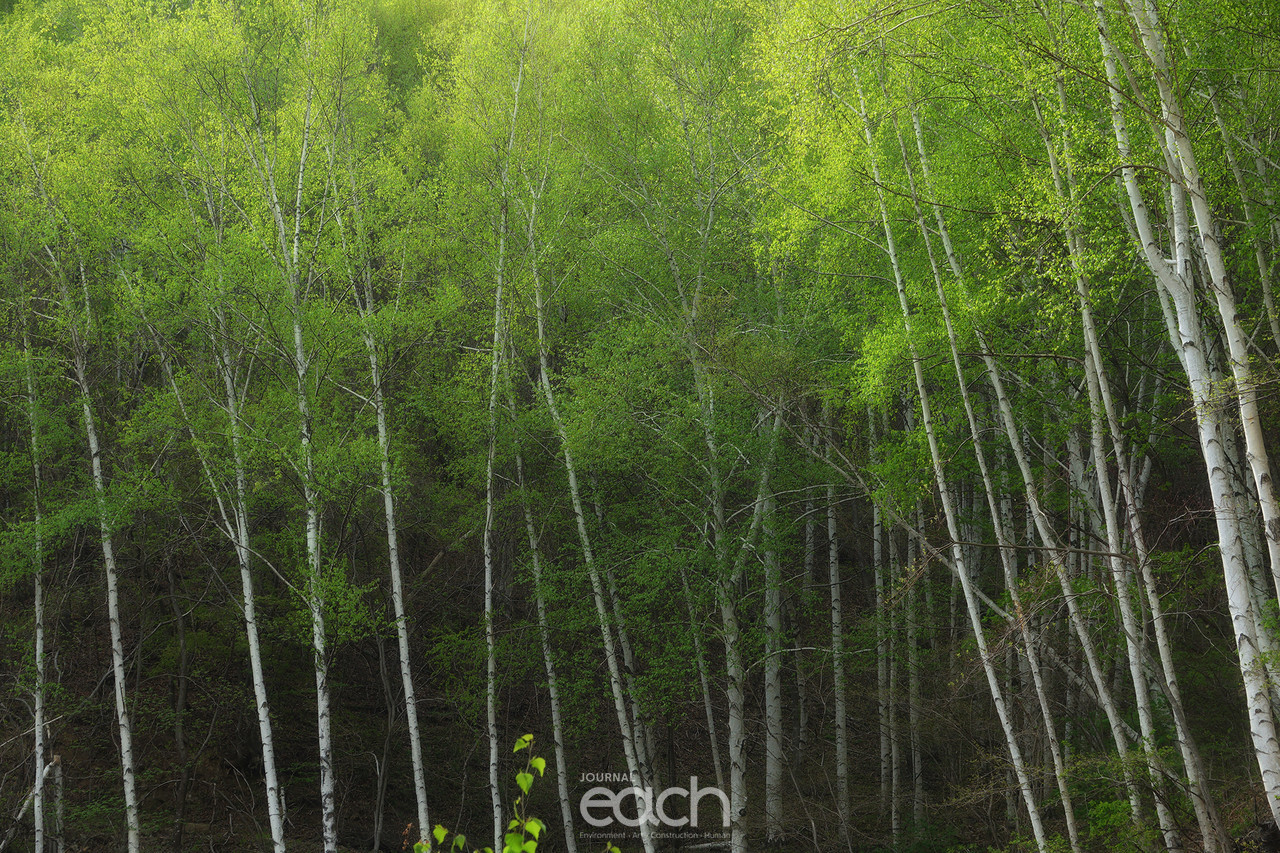 촬영 - 박미애 사진가