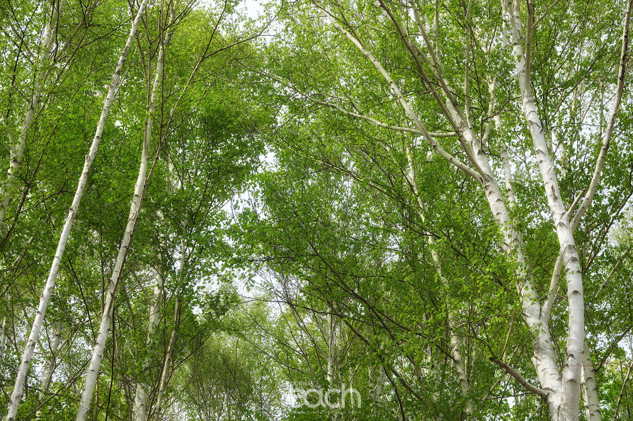 촬영 - 박미애 사진가