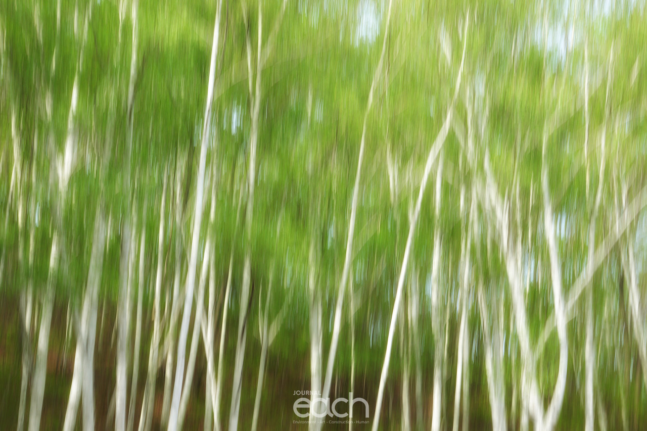 촬영 - 박미애 사진가