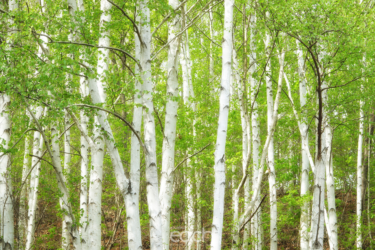 촬영 - 박미애 사진가