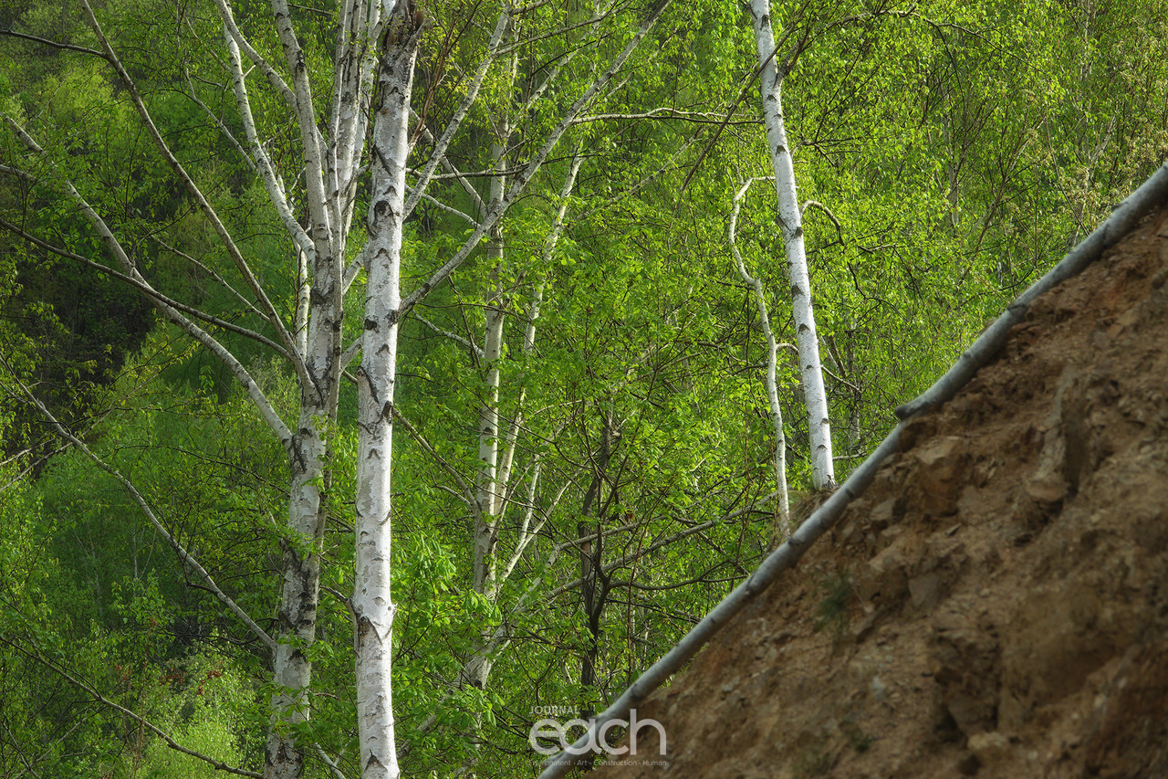 촬영 - 박미애 사진가