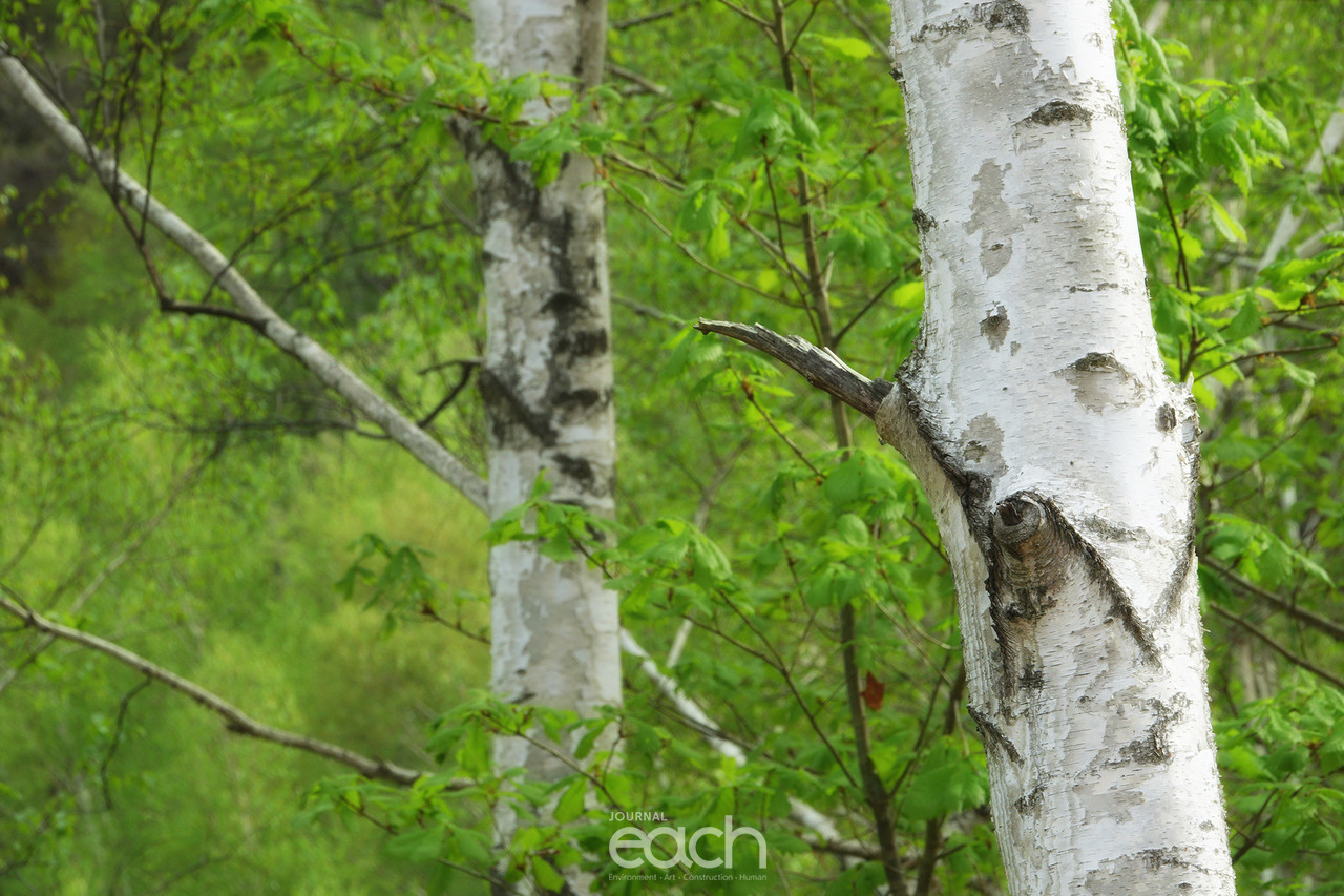 촬영 - 박미애 사진가