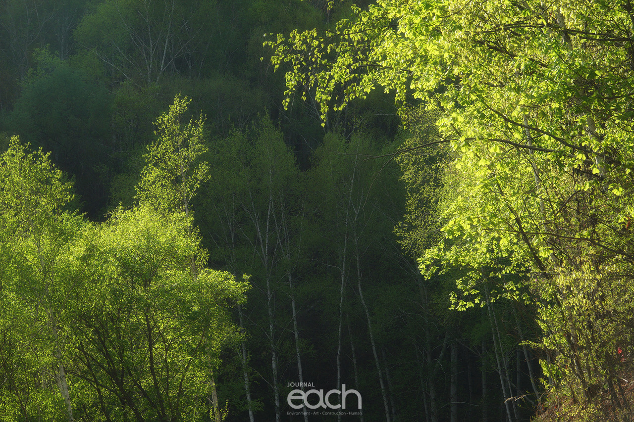 촬영 - 박미애 사진가