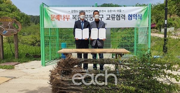 문배나무 복원을 위한 공동연구 협약 사진(자료제공 : 강원도산림과학연구원)