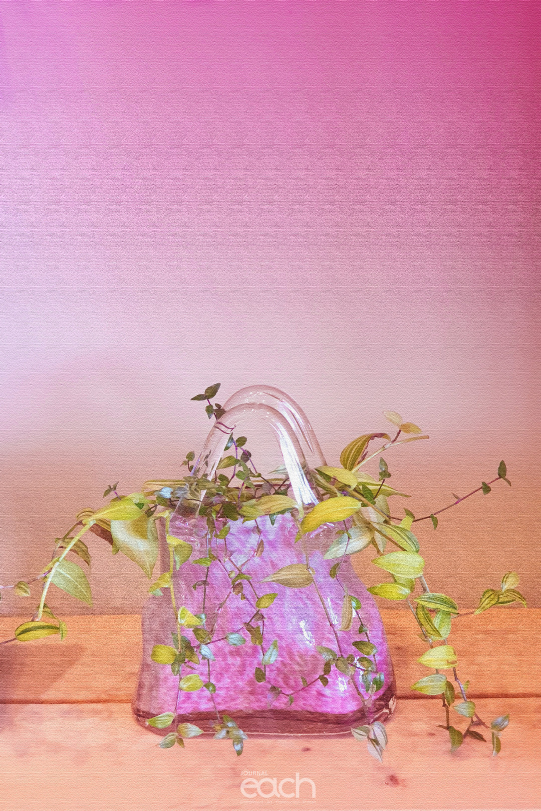 이미지 제공 - 박미애 사진가