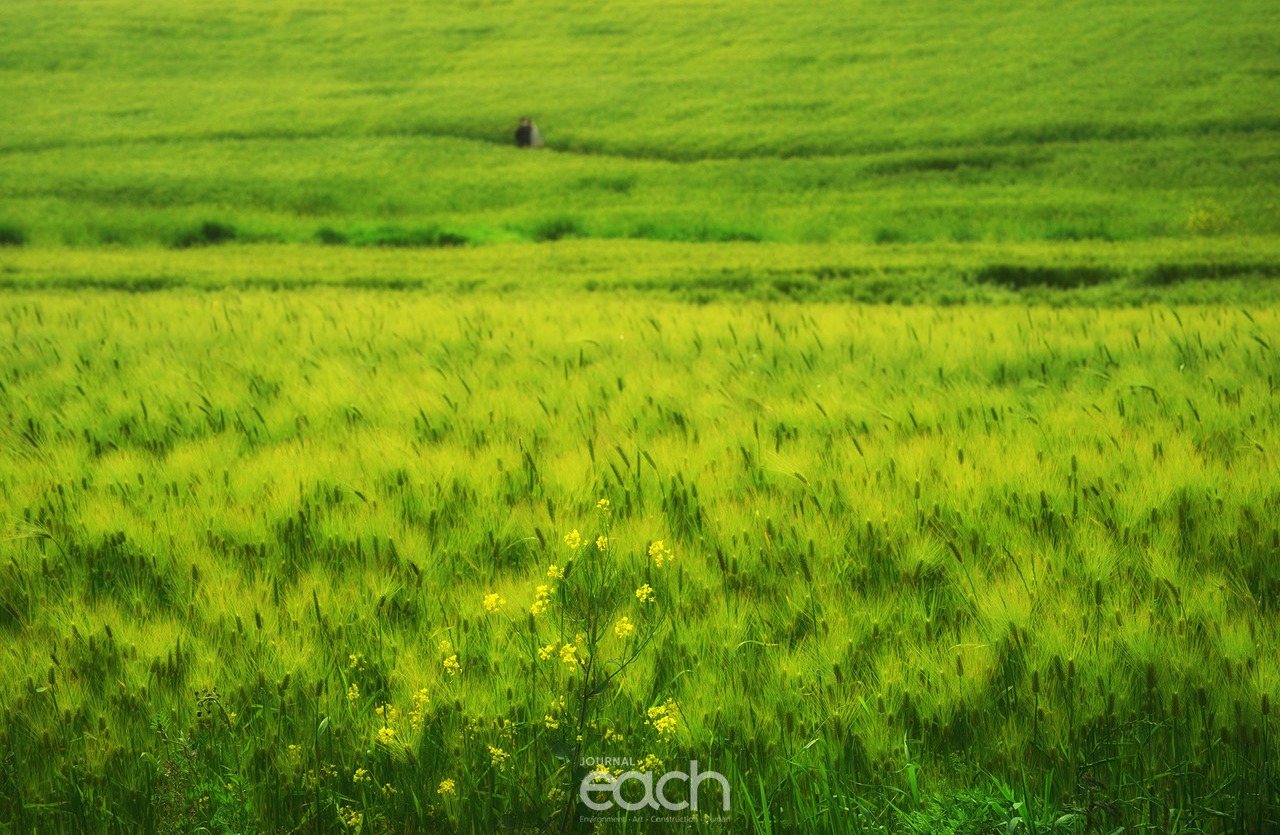 촬영 - 박미애 사진가