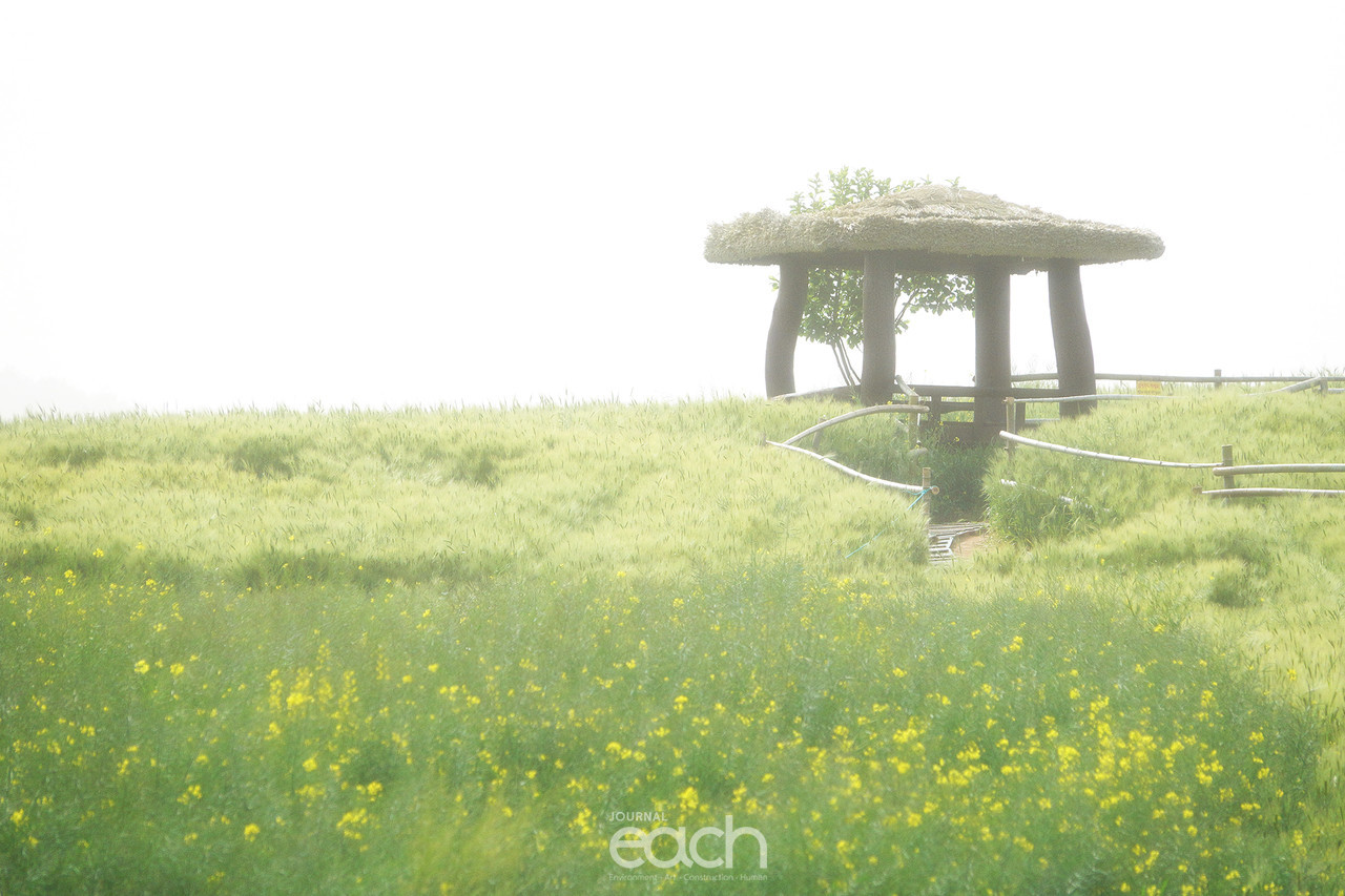 촬영 - 박미애 사진가