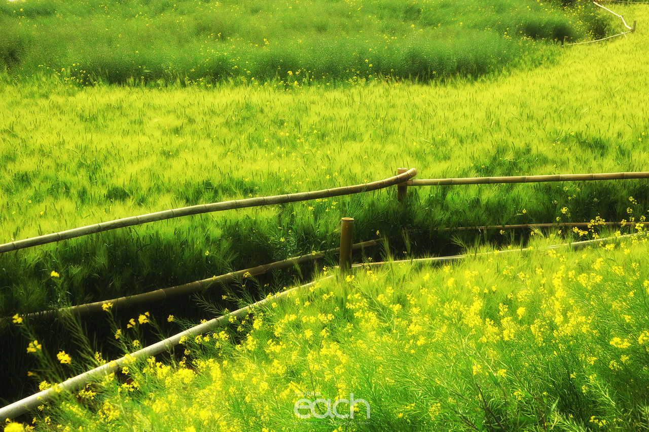 촬영 - 박미애 사진가