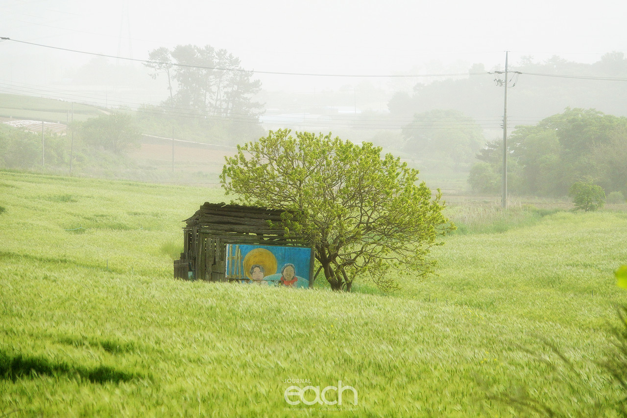 촬영 - 박미애 사진가