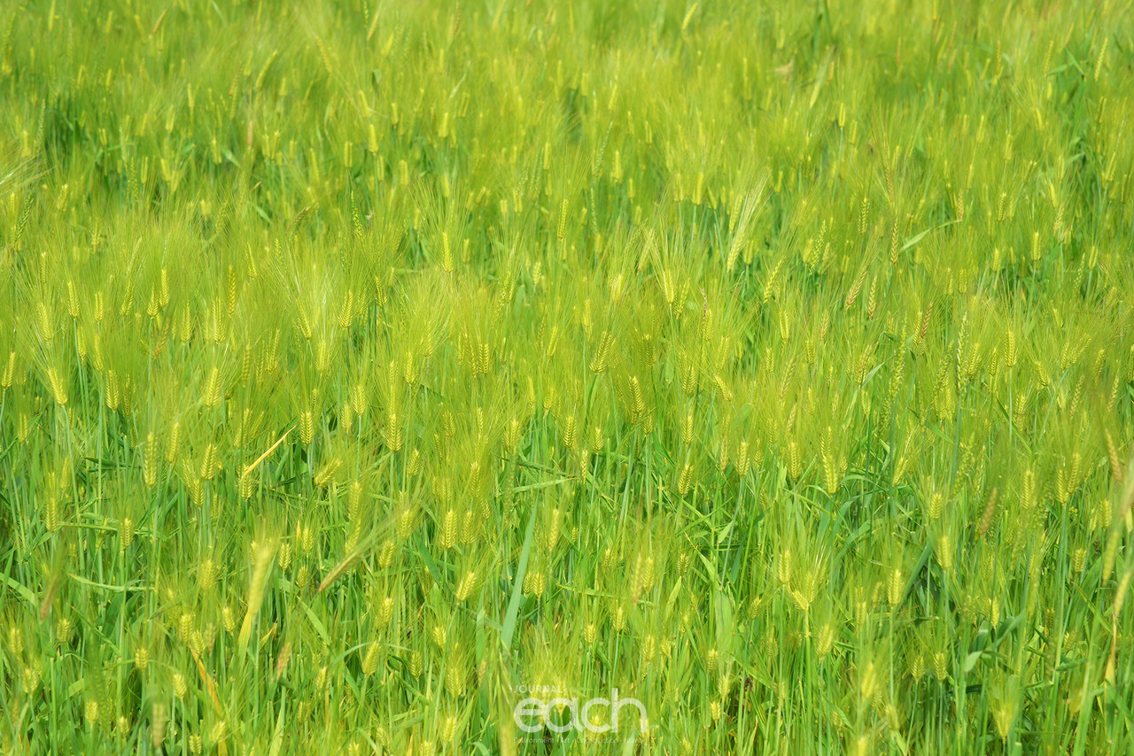 촬영 - 박미애 사진가