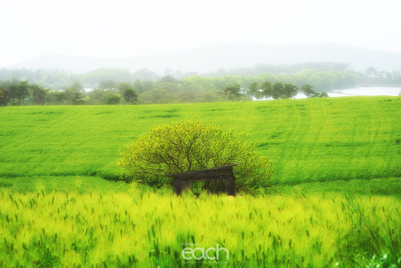 촬영 - 박미애 사진가