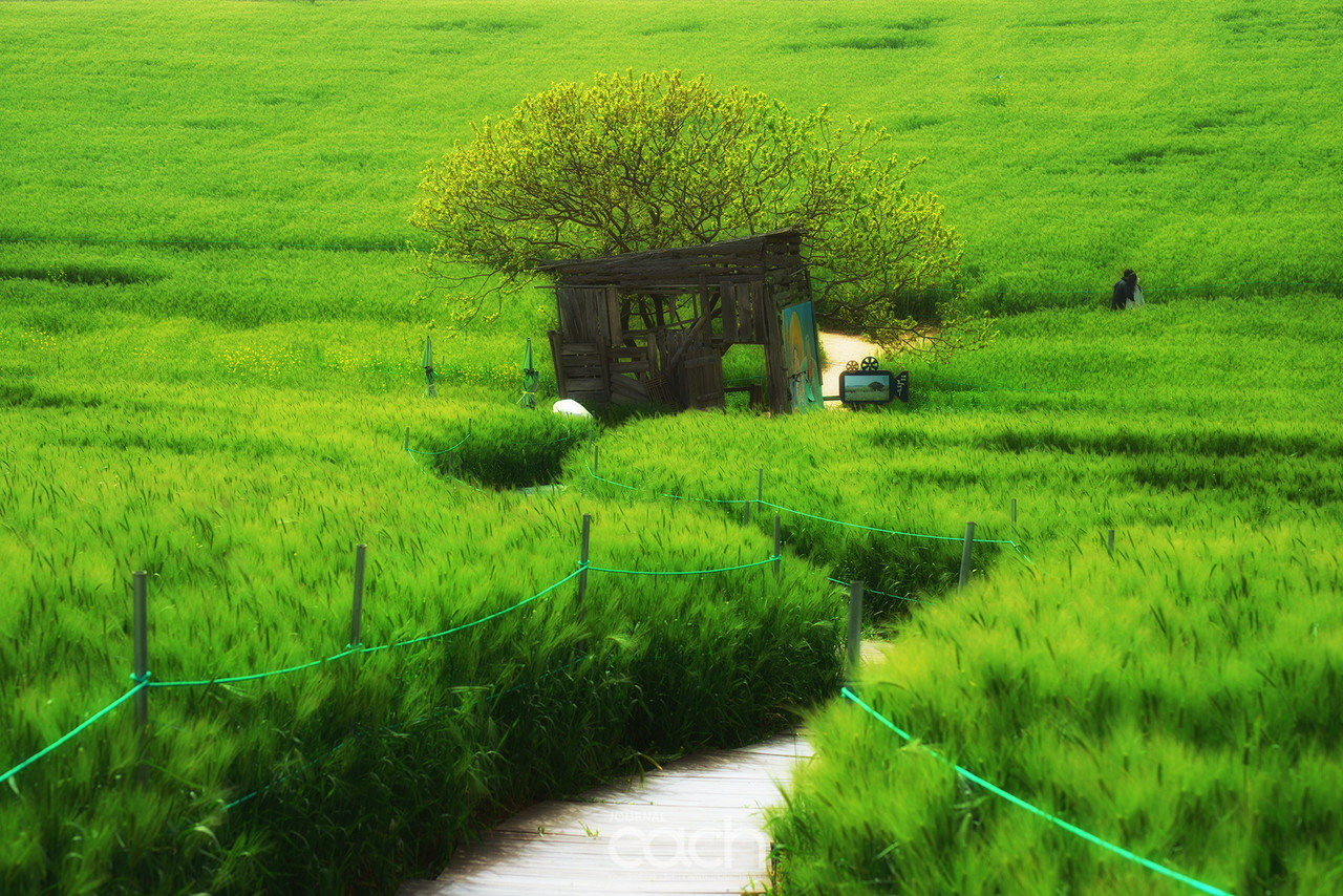 촬영 - 박미애 사진가