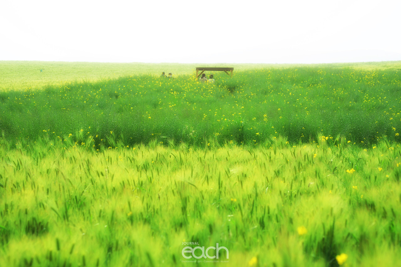 촬영 - 박미애 사진가