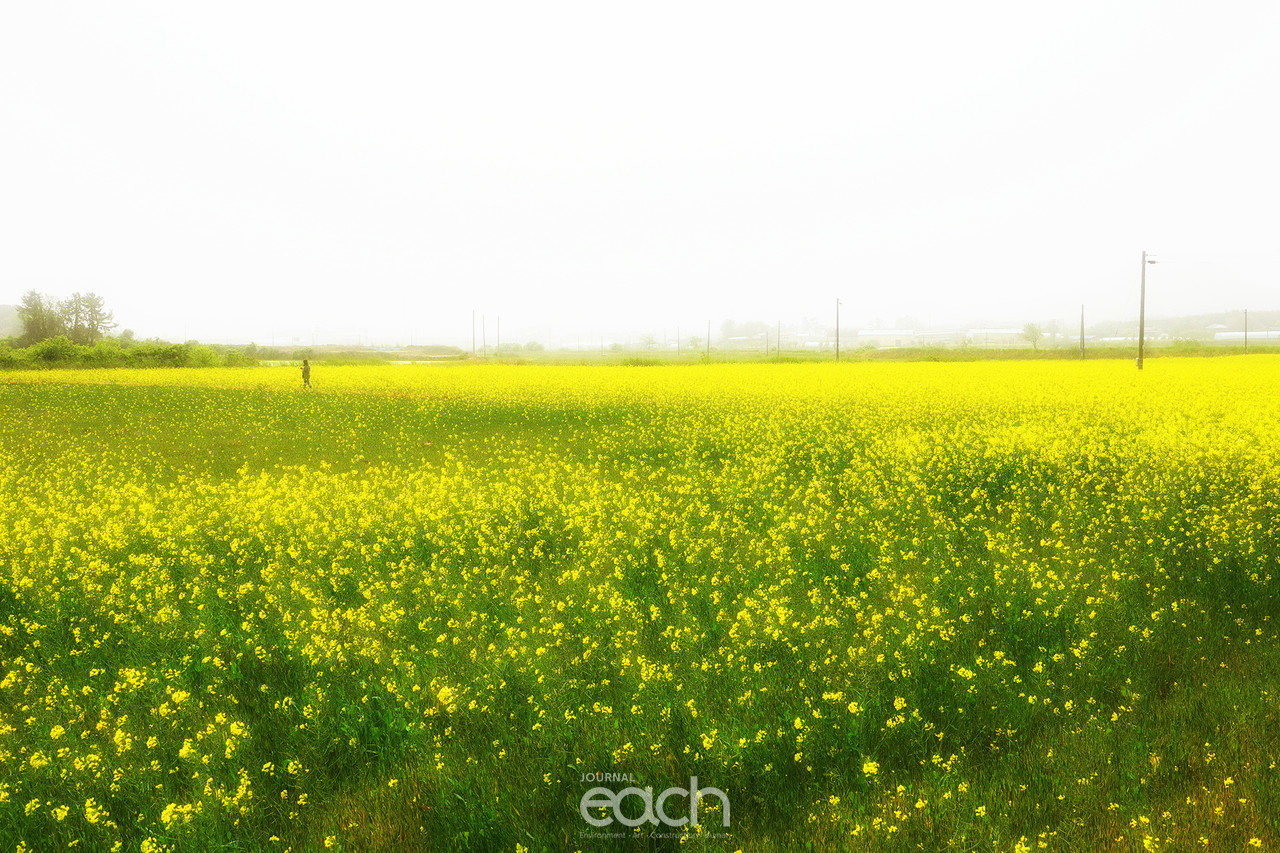 촬영 - 박미애 사진가