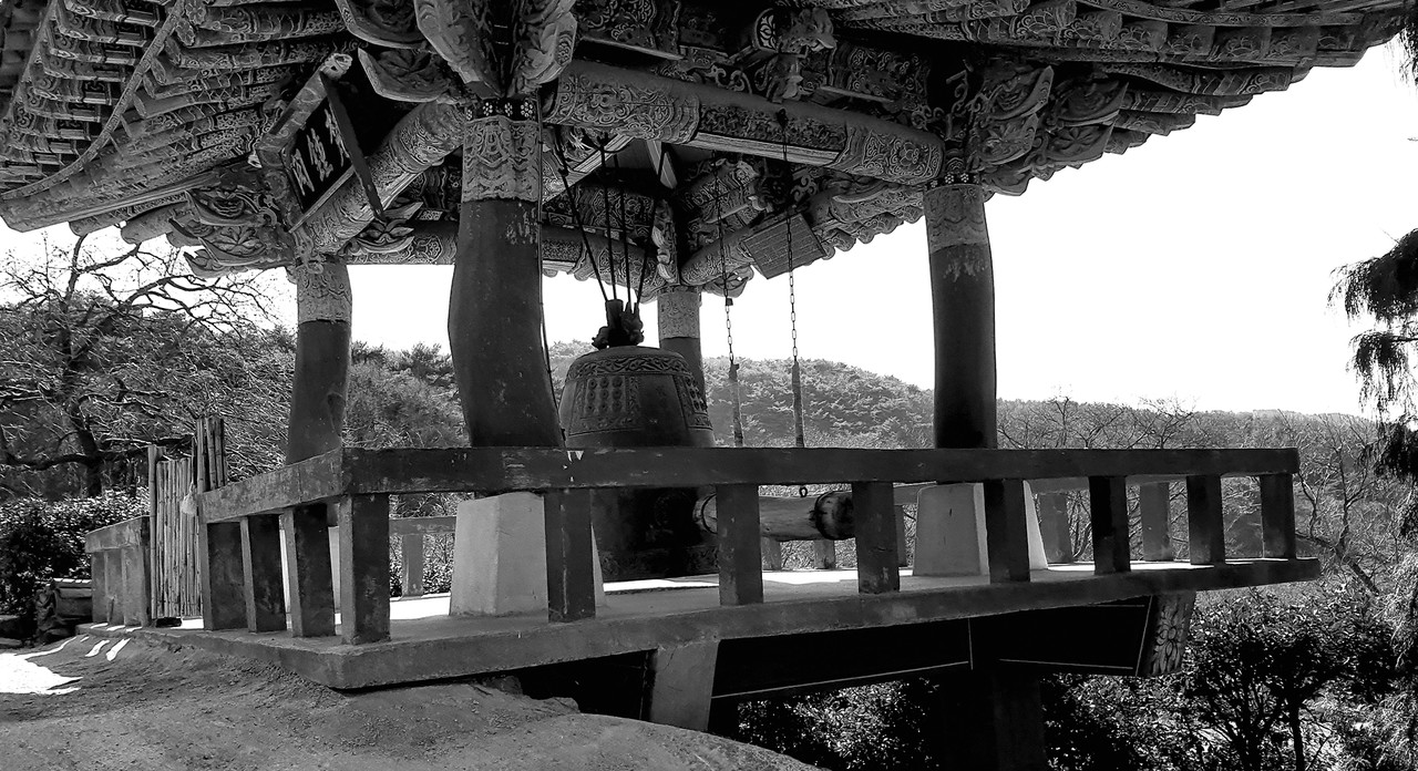 이미지 제공 - 박미애 사진가