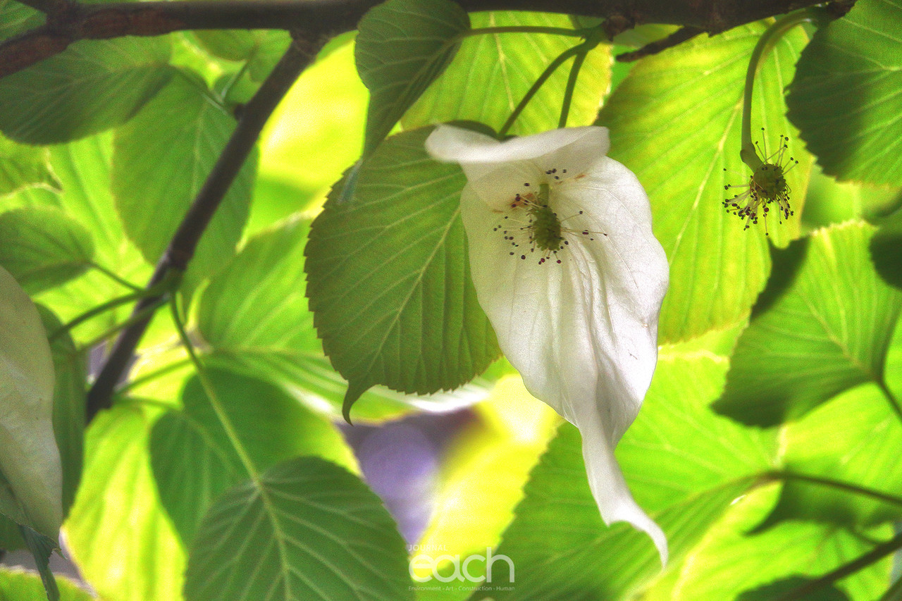 이미지 제공 - 박미애 사진가