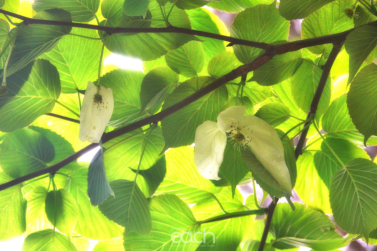 이미지 제공 - 박미애 사진가