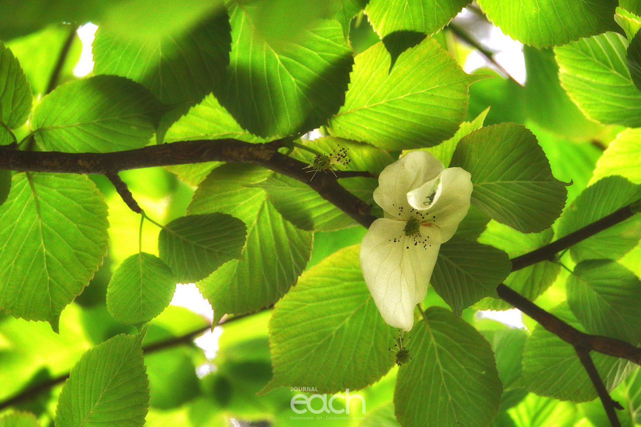 이미지 제공 - 박미애 사진가