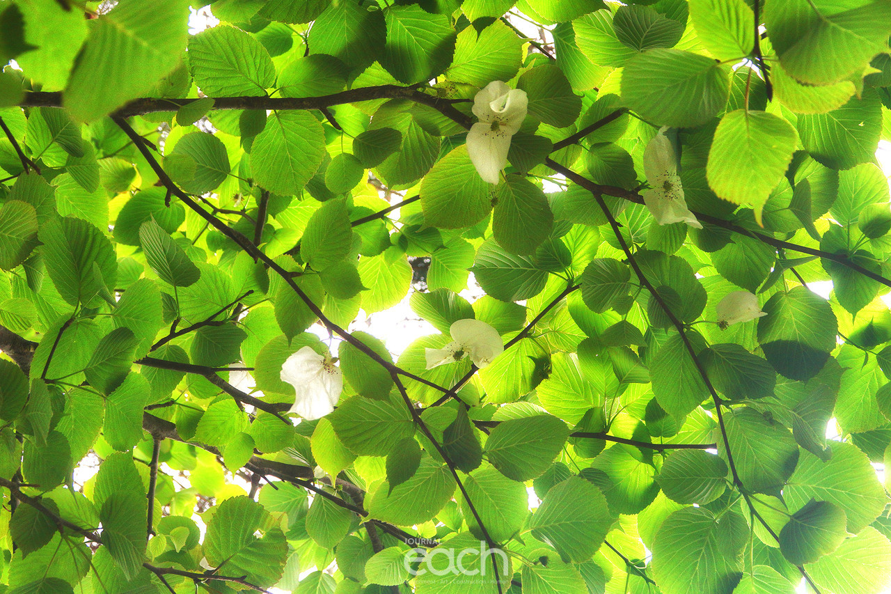 이미지 제공 - 박미애 사진가