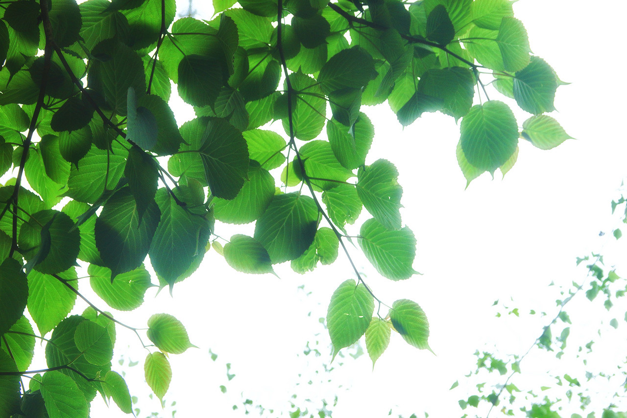 이미지 제공 - 박미애 사진가