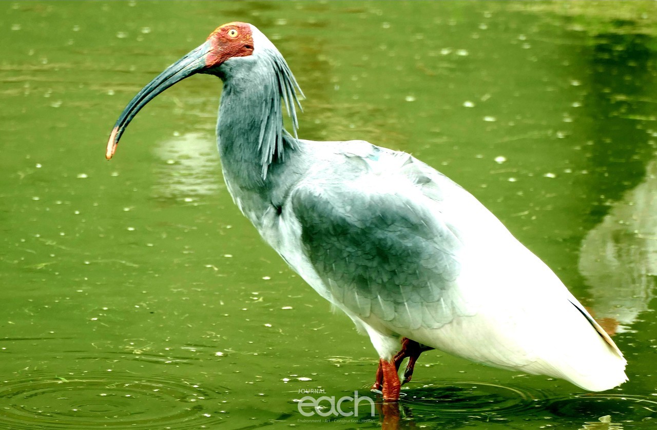 이미지 제공 - 김기춘 사진가