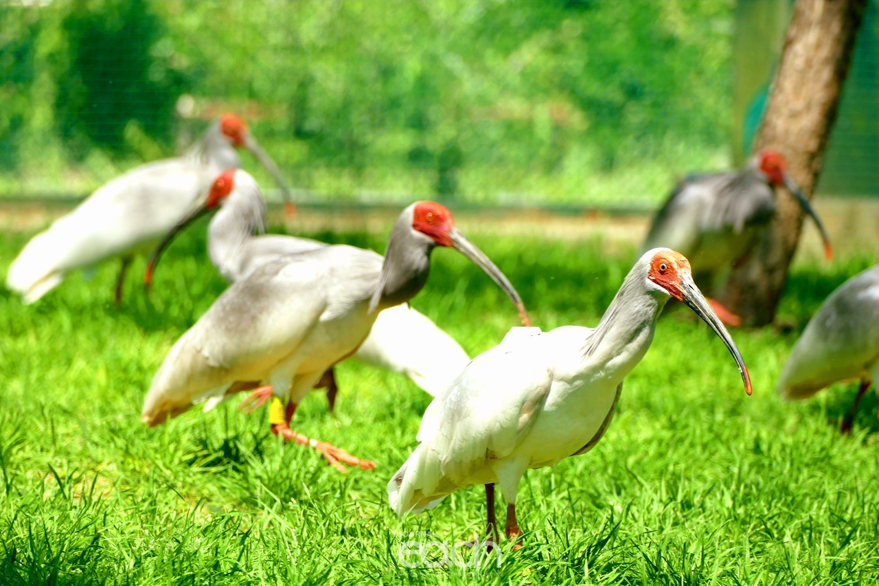 이미지 제공 - 김기춘 사진가