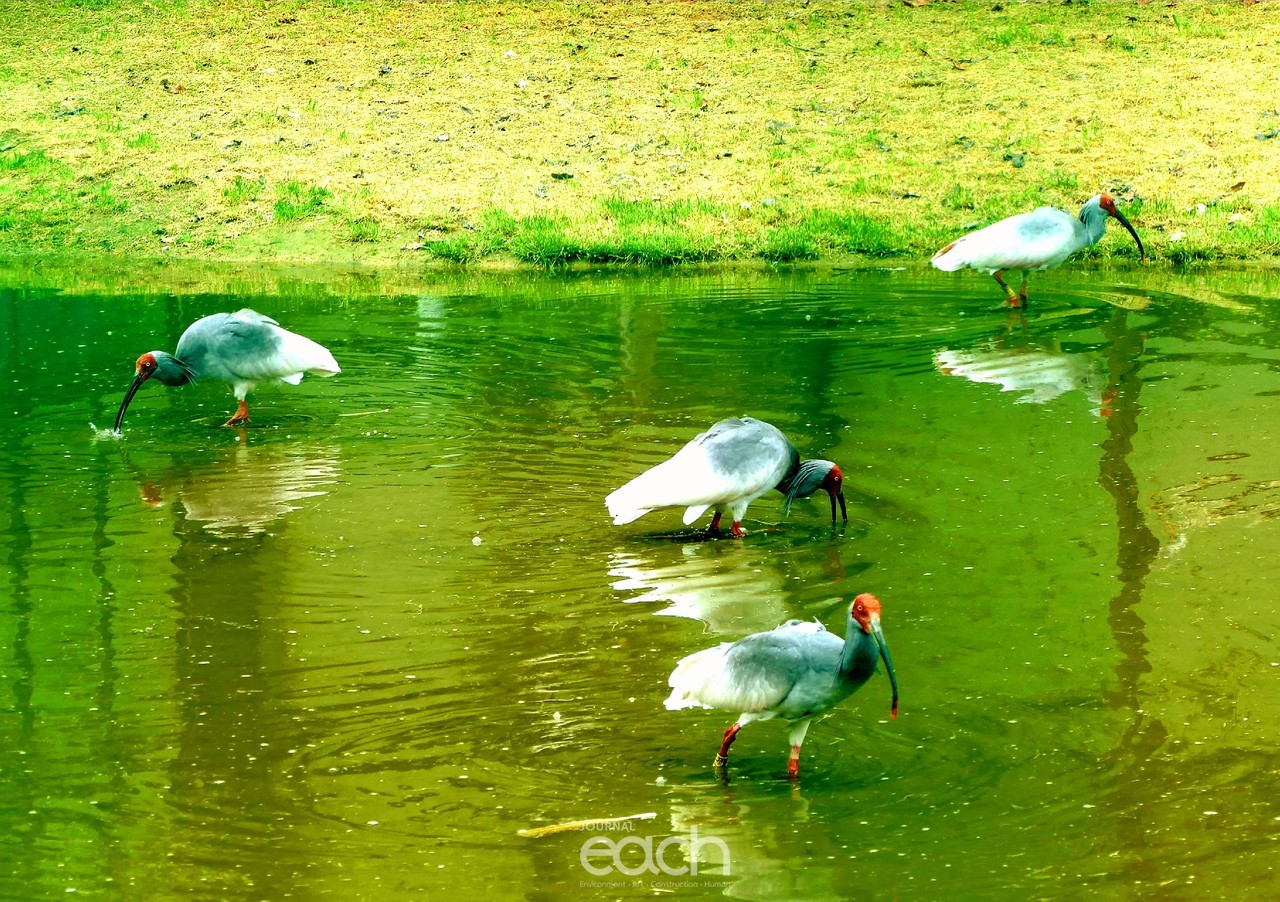 이미지 제공 - 김기춘 사진가