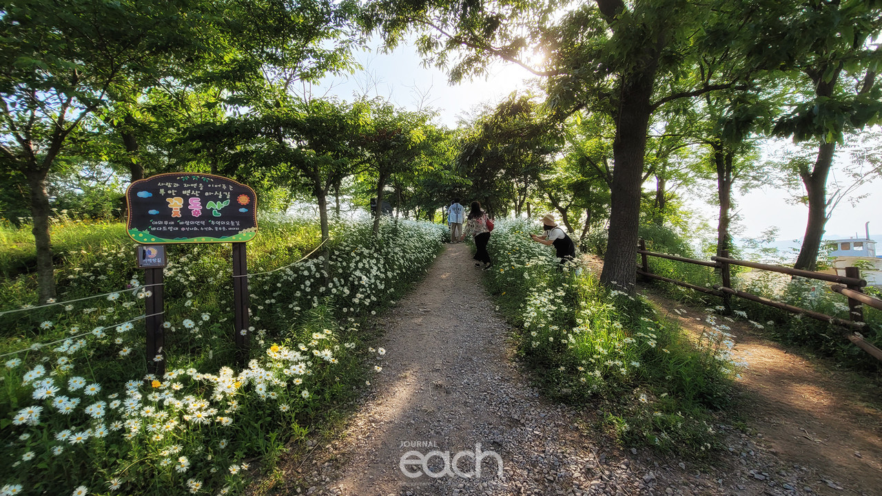 입구 들어가는 길