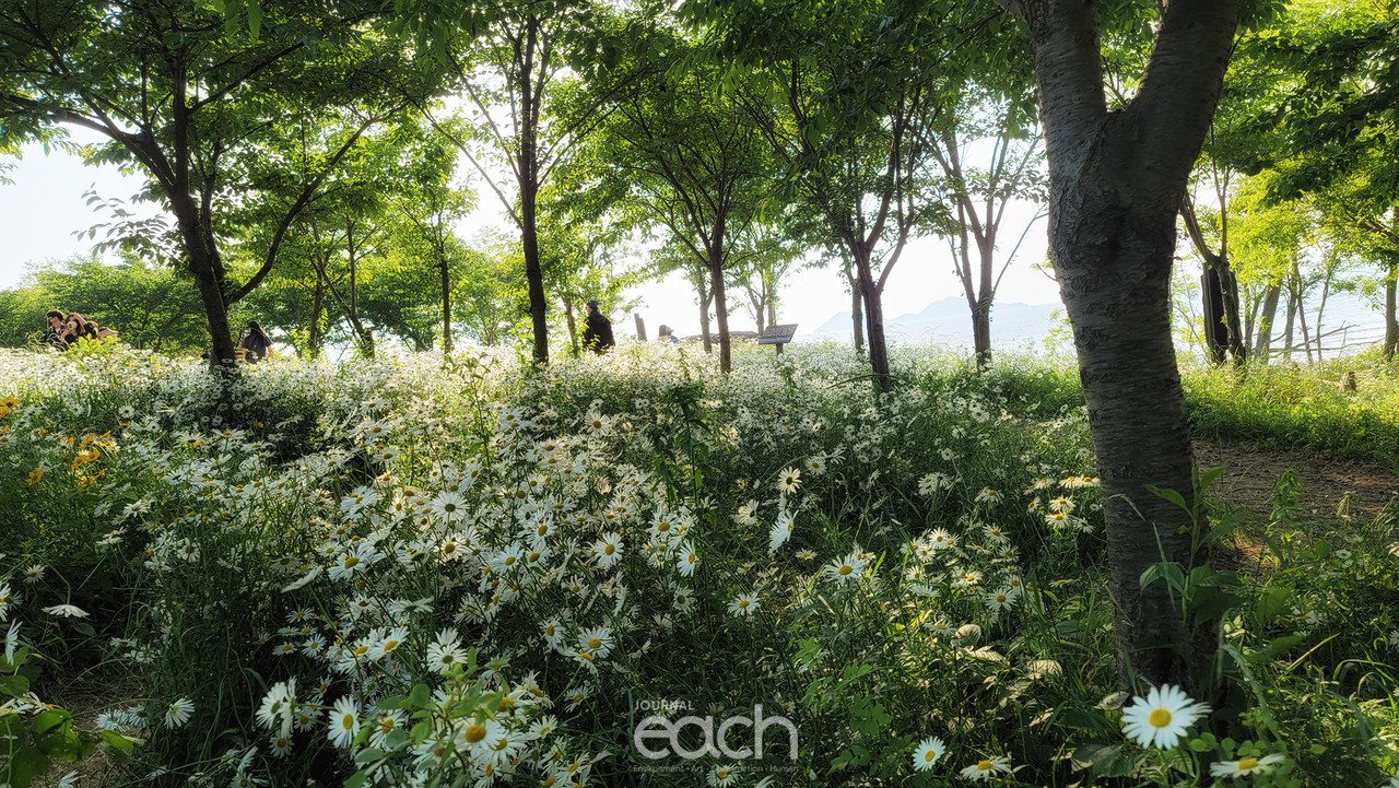 곳곳에서 인생샷을 담는 이들