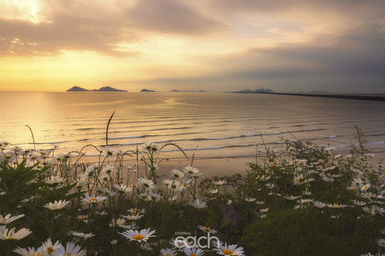 노을 지는 바다와 함께