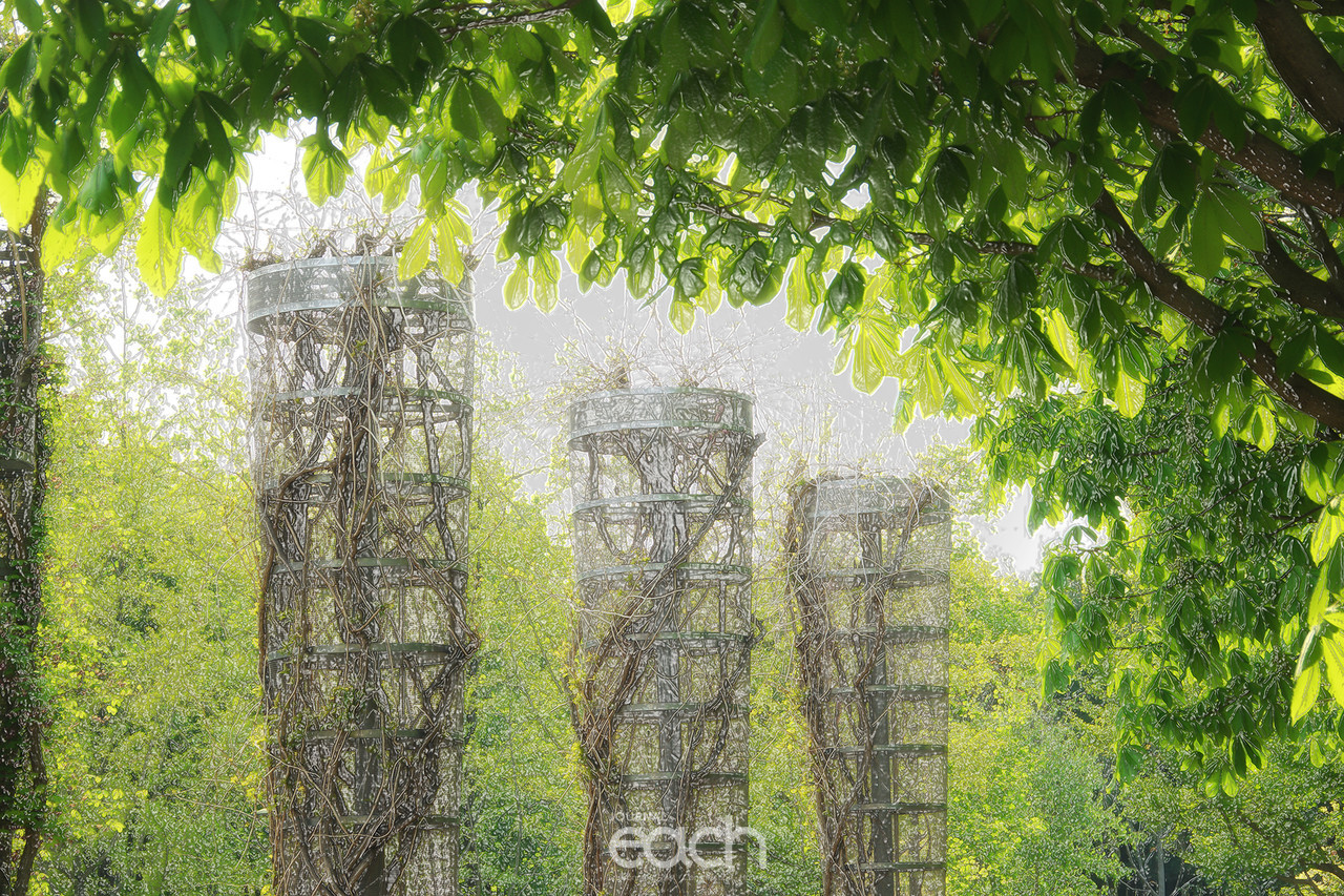 이미지 제공 - 박미애 사진가