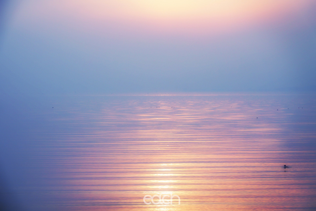 이미지 제공 - 박미애 사진가