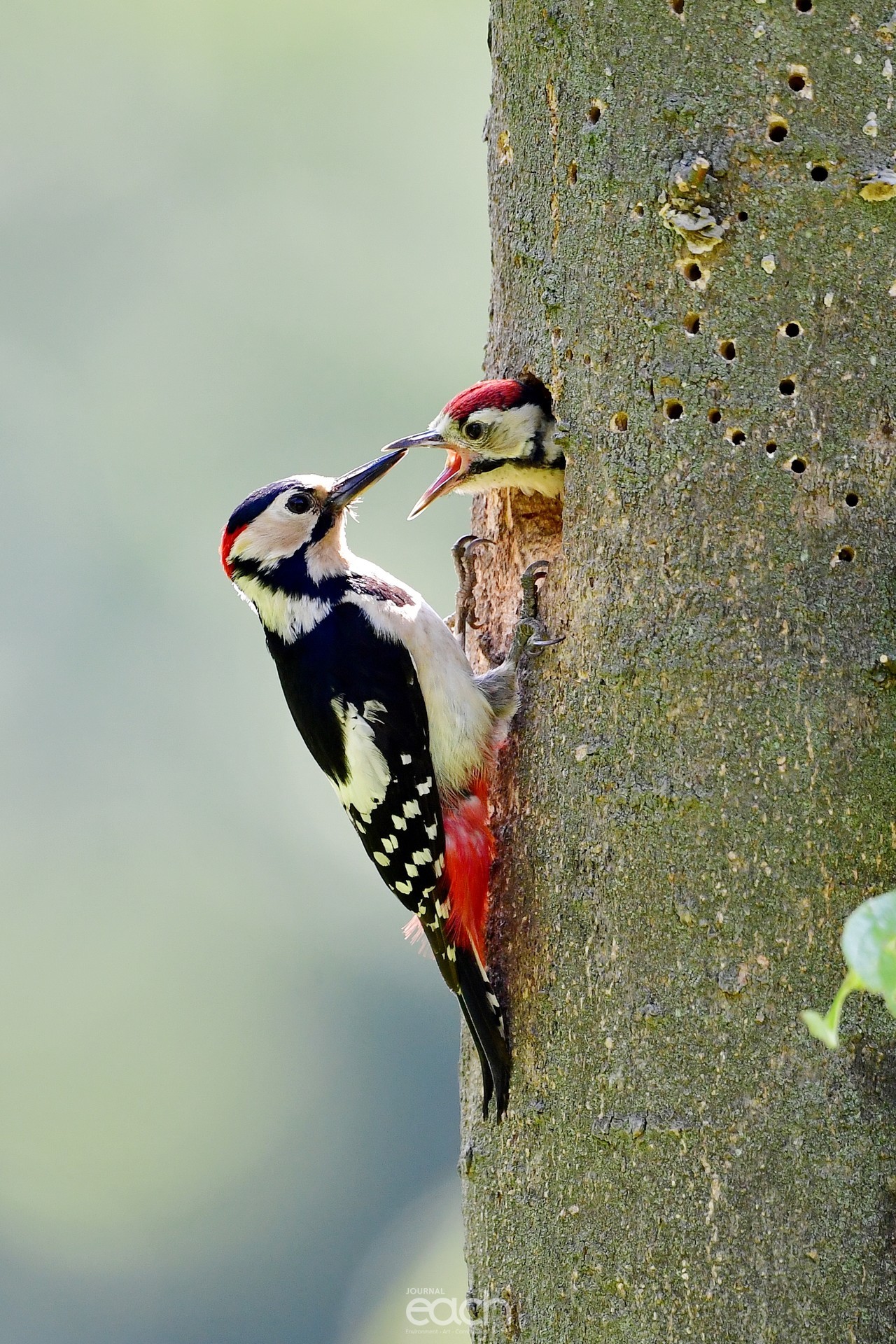  ​이미지 제공 - 김인재 사진가