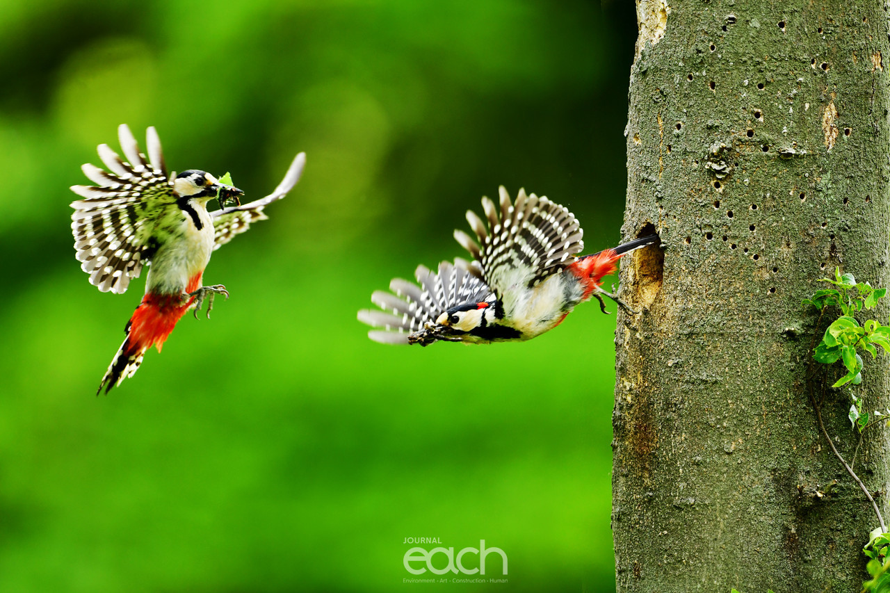 이미지 제공 - 김인재 사진가