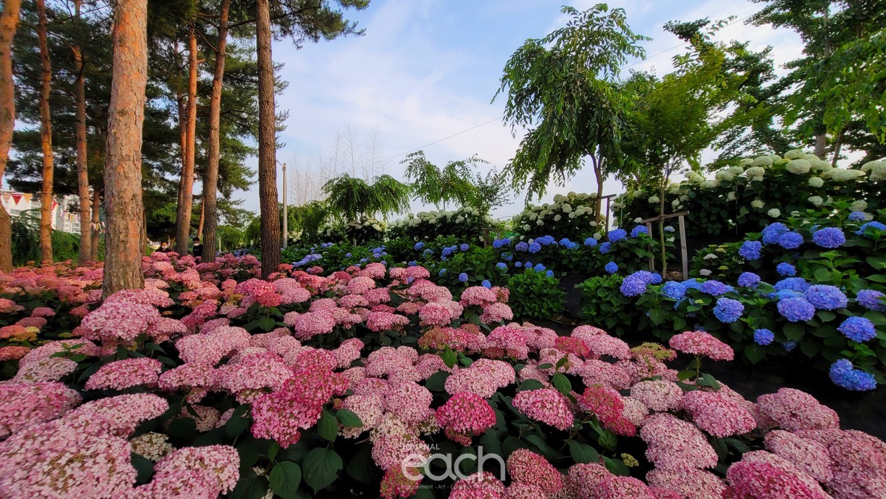  ​촬영 - 박미애 사진가촬영 - 박미애 사진가 촬영 - 박미애 사진가 촬영 - 박미애 사진가 촬영 - 박미애 사진가 촬영 - 박미애 사진가