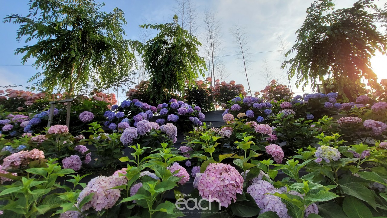 촬영 - 박미애 사진가