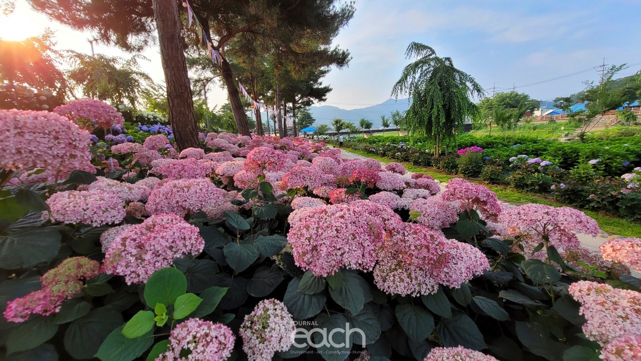 촬영 - 박미애 사진가