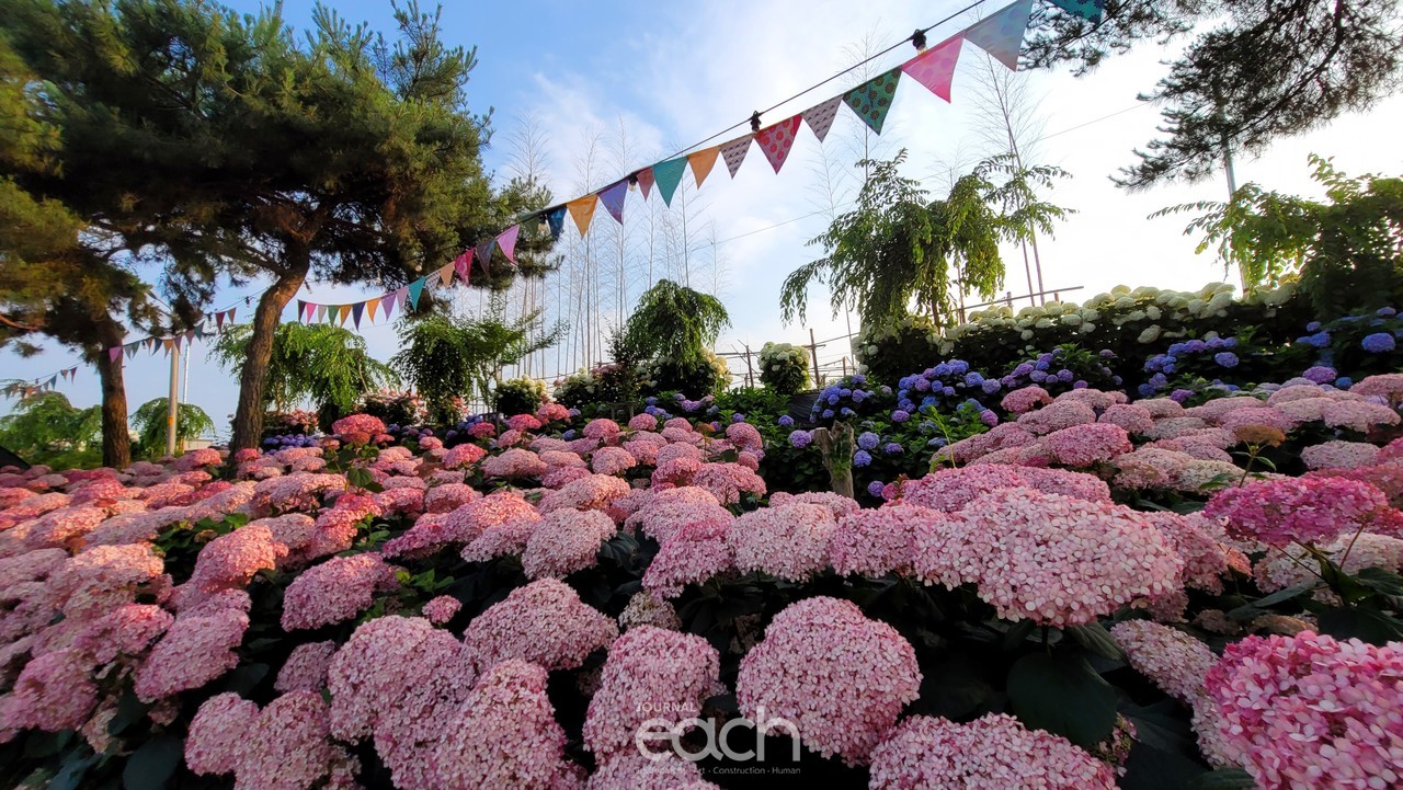 촬영 - 박미애 사진가